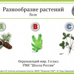 Разнообразие растений. Тест.