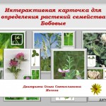 Интерактивная определительная карточка для растений семейства бобовых