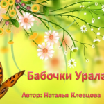 Бабочки Урала