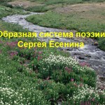 Образная система поэзии Сергея Есенина