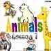 Animals lesson 1